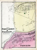 Port Carbon and Paloalto 1, Schuylkill County 1875